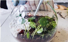 Load image into Gallery viewer, Customised Corporate / Teambonding Workshop