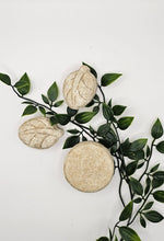 Load image into Gallery viewer, The Double Solid Shampoo Bundle
