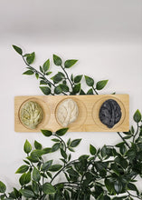 Load image into Gallery viewer, The Double Solid Shampoo Bundle

